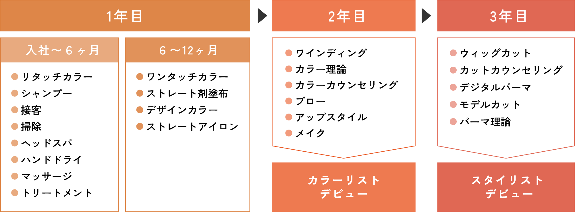 1年目：「入社〜６ヶ月」・リタッチカラー・シャンプー・接客・掃除・ヘッドスパ・ハンドドライ・マッサージ・トリートメント「６〜12ヶ月」・ワンタッチカラー・ストレート剤塗布・デザインカラー・ストレートアイロン→2年目：・ワインディング・カラー理論・カラーカウンセリング・ブロー・アップスタイル・メイク→カラーリストデビュー→3年目：・ウィッグカット・カットカウンセリング・デジタルパーマ・モデルカット・パーマ理論→スタイリストデビュー